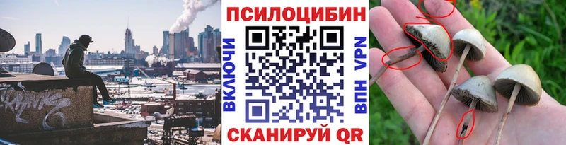 Псилоцибиновые грибы MAGIC MUSHROOMS  купить наркотики цена  Малаховка 